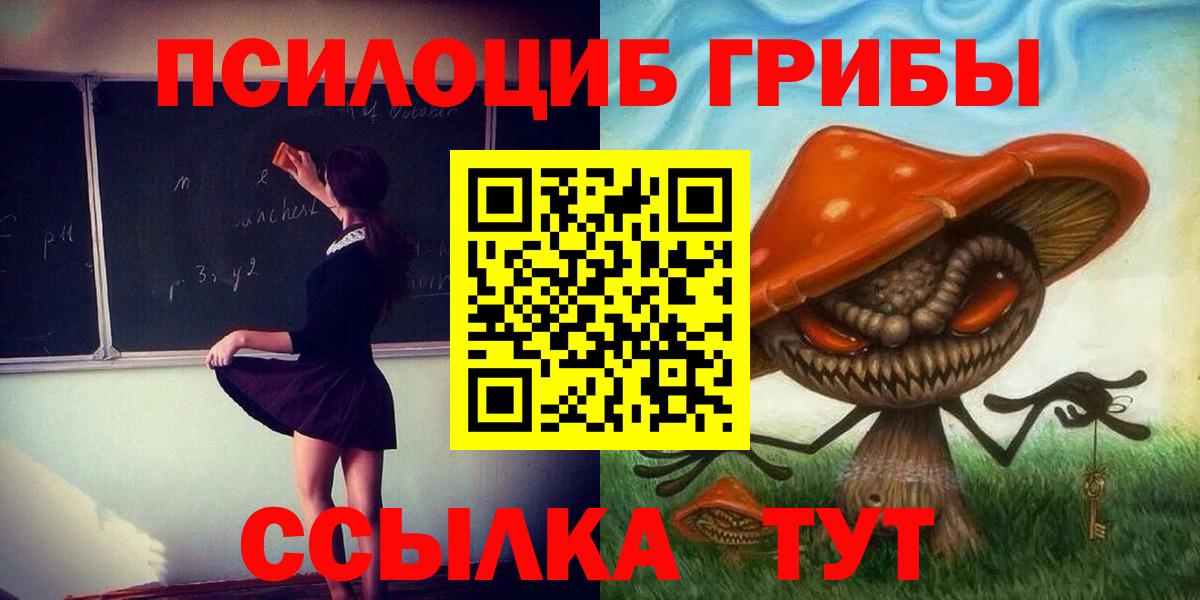 Ульяновск  как найти закладки  Вход с VPN  Псилоцибиновые грибы прущие грибы  Псилоцибиновые грибы Psilocybine cubensis 